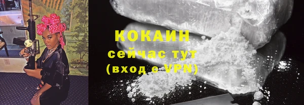 ешки Арсеньев
