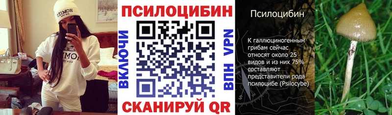 Псилоцибиновые грибы GOLDEN TEACHER  hydra зеркало  Кукмор 